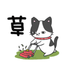 猫の信長と茶々スタンプ1（個別スタンプ：30）