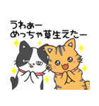 猫の信長と茶々スタンプ1（個別スタンプ：32）