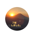 kinko＿写真5（個別スタンプ：1）