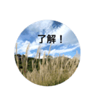 kinko＿写真5（個別スタンプ：2）