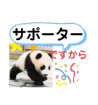 たけしのスタンプ その 24（個別スタンプ：1）