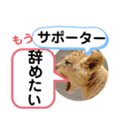 たけしのスタンプ その 24（個別スタンプ：2）
