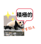 たけしのスタンプ その 24（個別スタンプ：9）