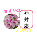 たけしのスタンプ その 24（個別スタンプ：11）
