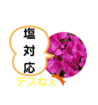 たけしのスタンプ その 24（個別スタンプ：12）