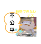 たけしのスタンプ その 24（個別スタンプ：13）