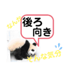 たけしのスタンプ その 24（個別スタンプ：14）