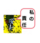 たけしのスタンプ その 24（個別スタンプ：16）