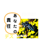 たけしのスタンプ その 24（個別スタンプ：17）