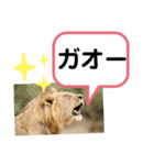 たけしのスタンプ その 24（個別スタンプ：21）