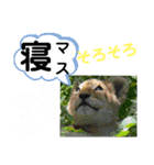 たけしのスタンプ その 24（個別スタンプ：22）