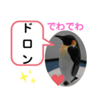 たけしのスタンプ その 24（個別スタンプ：23）