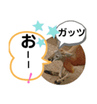 たけしのスタンプ その 24（個別スタンプ：24）