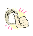 ハリやまくん大成功です！1（個別スタンプ：2）