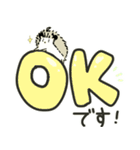 ハリやまくん大成功です！1（個別スタンプ：3）
