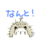 ハリやまくん大成功です！1（個別スタンプ：13）