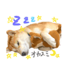 しばいぬなつさん（個別スタンプ：1）