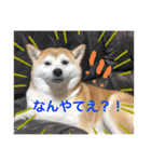 しばいぬなつさん（個別スタンプ：9）