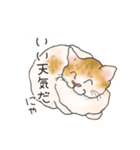 にゃんぽぽ（個別スタンプ：39）