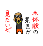 韻踏むdog2（個別スタンプ：10）