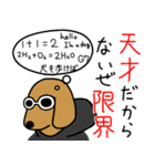 韻踏むdog2（個別スタンプ：38）