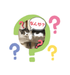 みゅうつーの普段遣いスタンプ（個別スタンプ：1）