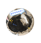 みゅうつーの普段遣いスタンプ（個別スタンプ：3）