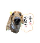 しょこち大好き（個別スタンプ：3）
