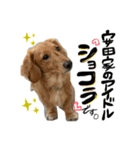 しょこち大好き（個別スタンプ：7）