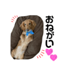 しょこち大好き（個別スタンプ：8）