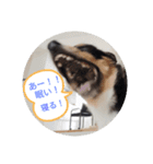きぃくんの気持ち（個別スタンプ：2）