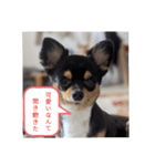 きぃくんの気持ち（個別スタンプ：5）