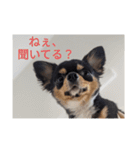 きぃくんの気持ち（個別スタンプ：6）