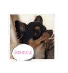 きぃくんの気持ち（個別スタンプ：9）