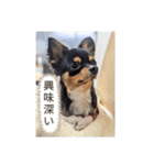 きぃくんの気持ち（個別スタンプ：10）