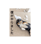 きぃくんの気持ち（個別スタンプ：12）