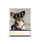 きぃくんの気持ち（個別スタンプ：13）