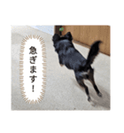 きぃくんの気持ち（個別スタンプ：15）