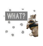 Van's stamp☆（個別スタンプ：5）
