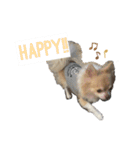 Van's stamp☆（個別スタンプ：14）