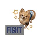 Van's stamp☆（個別スタンプ：15）