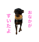 りぼんとじょん（個別スタンプ：5）