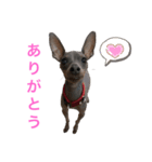 りぼんとじょん（個別スタンプ：7）