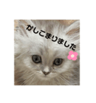みにちゃんすたんぷ（個別スタンプ：4）