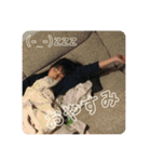 本田familyスタンプ第1（個別スタンプ：5）
