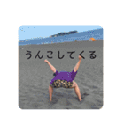 本田familyスタンプ第1（個別スタンプ：11）
