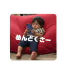 本田familyスタンプ第1（個別スタンプ：19）