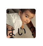 本田familyスタンプ第1（個別スタンプ：23）