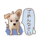 愛犬チワワのちくわ（個別スタンプ：6）