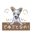 愛犬チワワのちくわ（個別スタンプ：22）